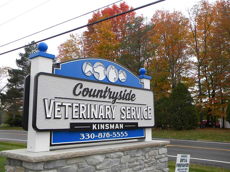 Dog & Cat Vets in Kinsman